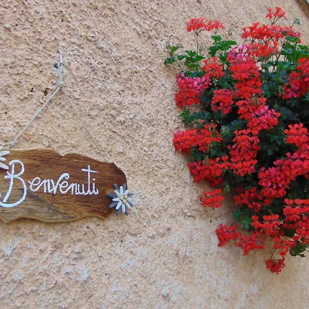 Benvenuti Daire Padola